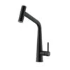 Franke Icon Pull Out Double Jet Shower Kitchen Tap - Matt Black - 115.0625.190 -Kitchen Series Shop 1 1 115.0625.190