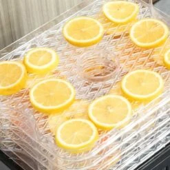 HOMCOM 245W 5 Tier Food Dehydrator - Silver - 800-142V70 -Kitchen Series Shop homcom 800142v70 1 close up view